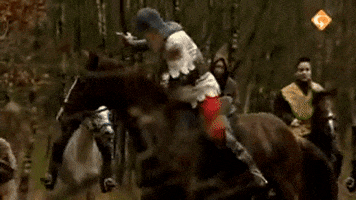 Zeker Zichtbaar GIF