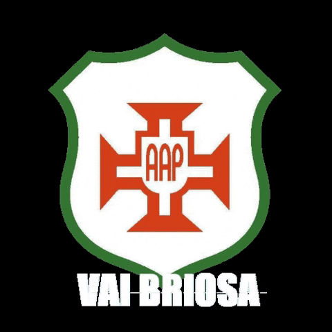 BriosaOficial briosa portuguesa santista GIF