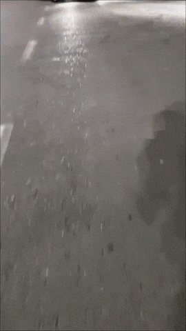 Gentra GIF