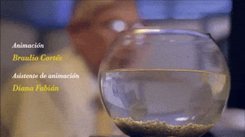 Lospecesnosueñan GIF