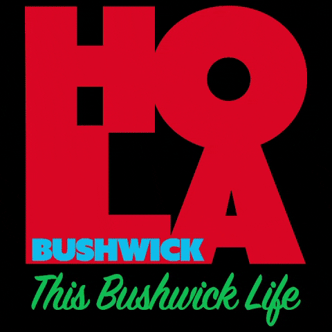 New York City Hello GIF by This Bushwick Life