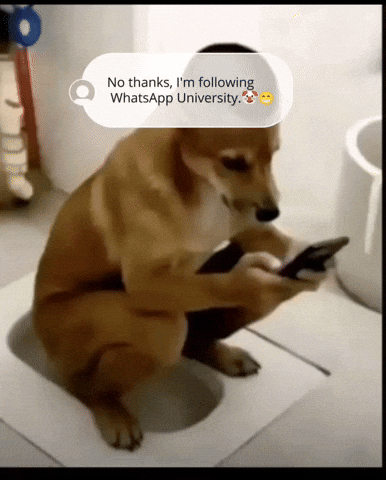Social Media Modi GIF