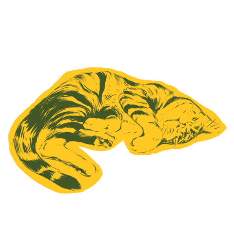 Cats Sticker