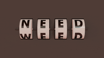 Weed GIF