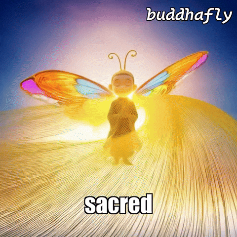 Transformation GIF by BuddhaFlyJourney