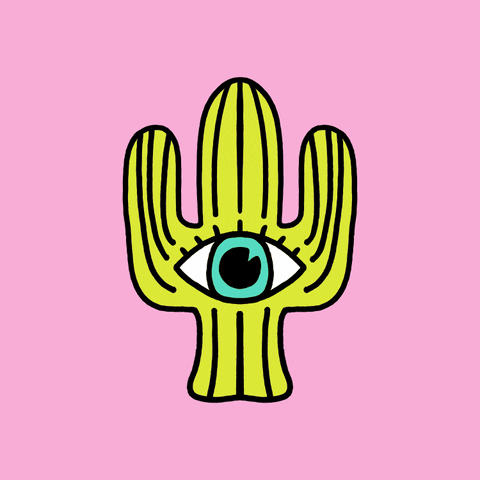 kaeraz_ cactus desert omen cowpoke GIF