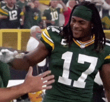 Green Bay Packers GIF
