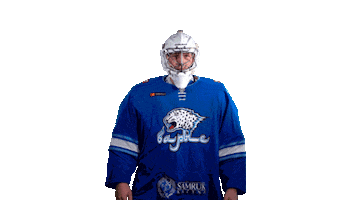 Hockey Goalie Sticker by barys_official