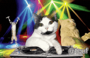 Party Rave GIF