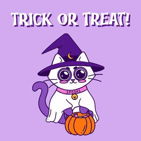 Trick Or Treat Halloween GIF by Spooks the Cat