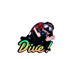 Dive Sticker by DansDiveShop