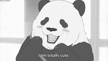 panda cutie GIF