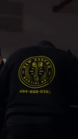 New Asgard GIF by New Asgard Martial Arts