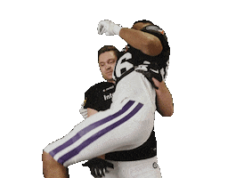 American Football Sticker by Frankfurt Galaxy