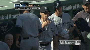 new york yankees GIF by MLB
