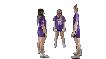 Lacrosse D3 Sticker by Albion College