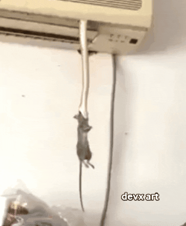 Air Conditioning Snake GIF by DevX Art