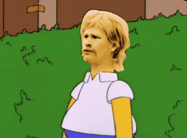 Wtf GIF