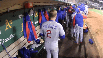 Chicago Cubs Baseball GIF by Marquee Sports Network