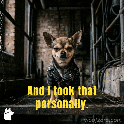 Mood Sarcasm GIF by Woofzara