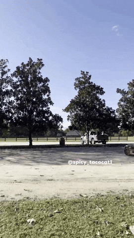 Miata GIF