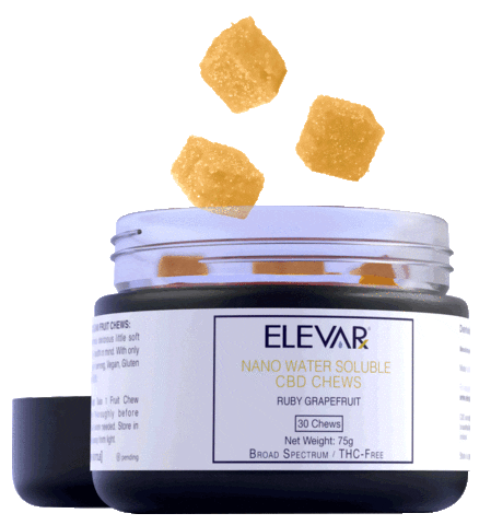 elevarx Sticker