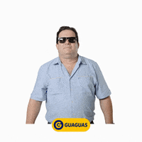 Wink Hello GIF by Guaguas Municipales