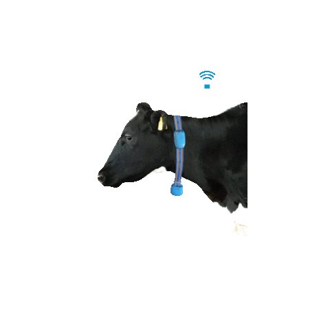 Afimilk Sticker
