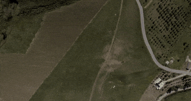 Tommaso D'Angelo Photography GIF