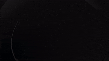 Apollo Artist Management GIF