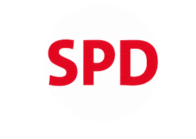 Politics Election Sticker by Steffen Krach