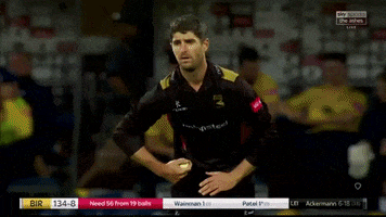 GIF by Leicestershire Country Cricket Club