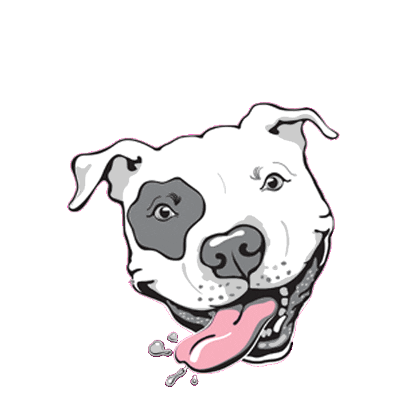 pinupsforpitbulls GIFs on GIPHY Be Animated