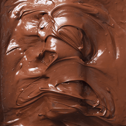 Chocolate Protein GIF by Koia
