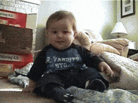 Funny GIFs - Get the best GIF on GIPHY Funny GIFs - Get the best GIF on GIPHY