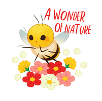 World Bee Day Gifs Get The Best Gif On Giphy