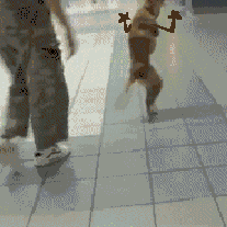 Walking GIF - Find & Share on GIPHY