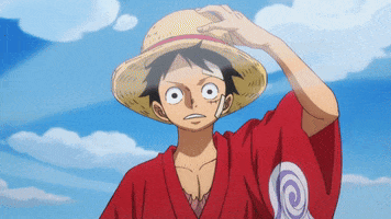 One Piece GIF by Toei Animation