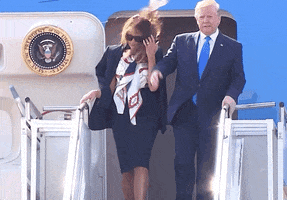 Donald Trump Uk State Visit GIF by Election 2020