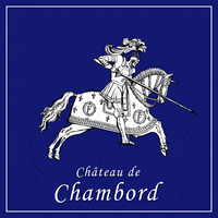France Horse GIF by Château de Chambord