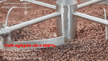 Coffee GIF