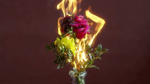 giphy.gif?cid=ecf05e47z4glmxpi1dp4lnuguy