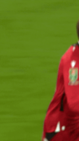 West Brom Goal GIF by West Bromwich Albion