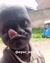 Funny face GIF - Find on GIFER