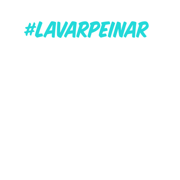 Lavar&Peinar Sticker
