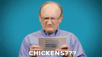 chicken dinosaurs GIF by Smithsonian National Museum of Natural History