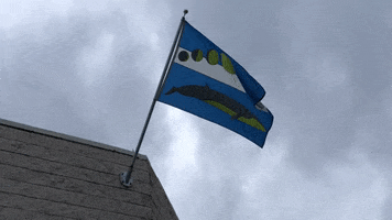 Usf GIF