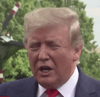 Political gif. Donald Trump squinting and pointing at someone while saying, "You are untruthful." 