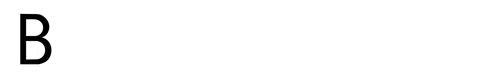 Bellacy GIF