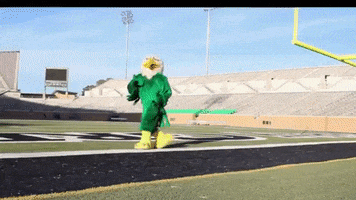 Mean Green Northtexas GIF by UNT Athletics
